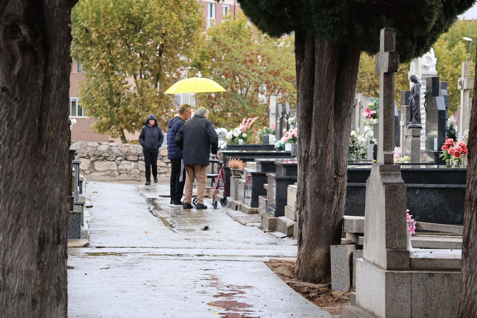 GALERÍA | La lluvia no detiene la tradición: los zamoranos acuden al cementerio para recordar a sus fallecidos