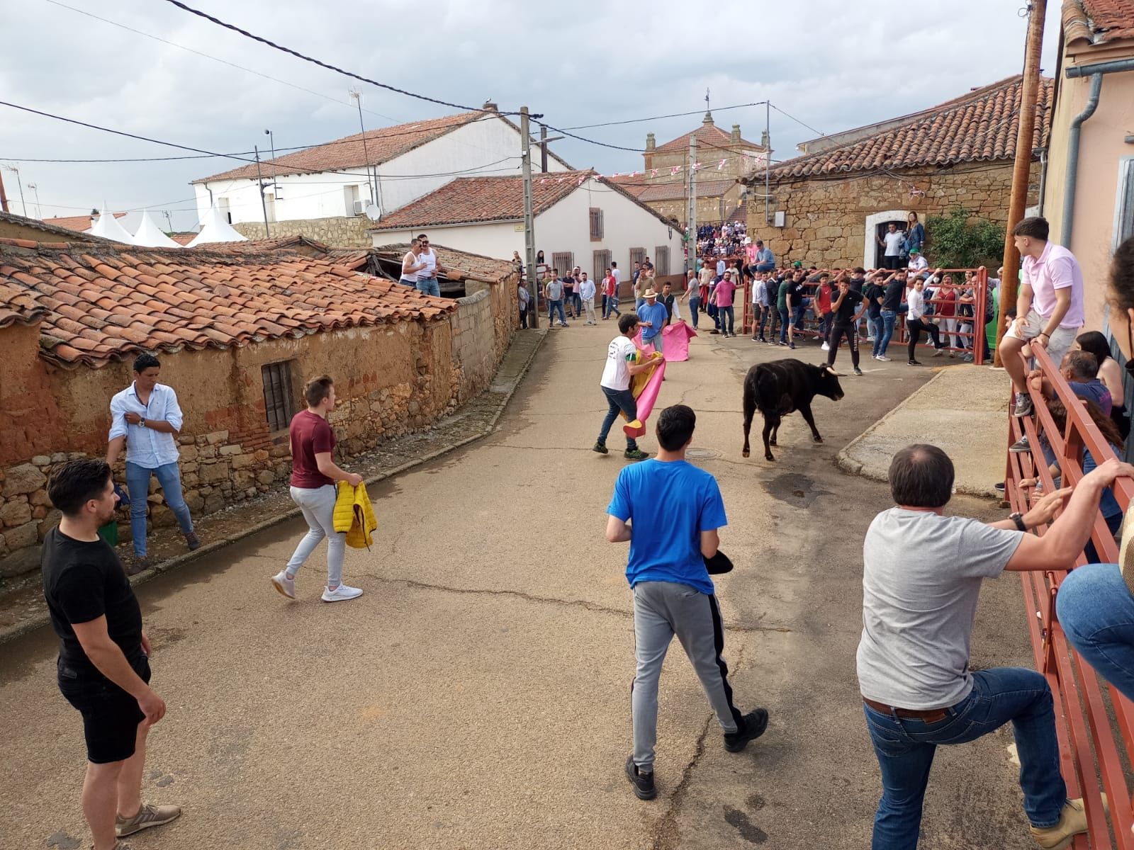 whatsapp-image-2022-05-14-at-8-08-44-pm