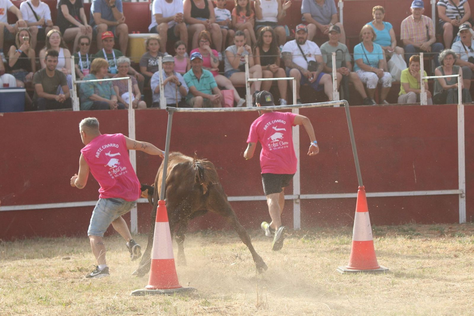 img-2187