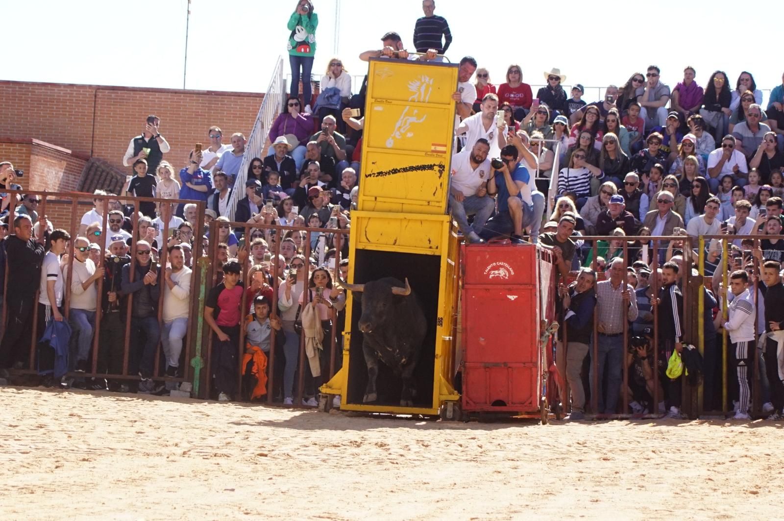 whatsapp-image-2025-04-26-at-19-02-01-1