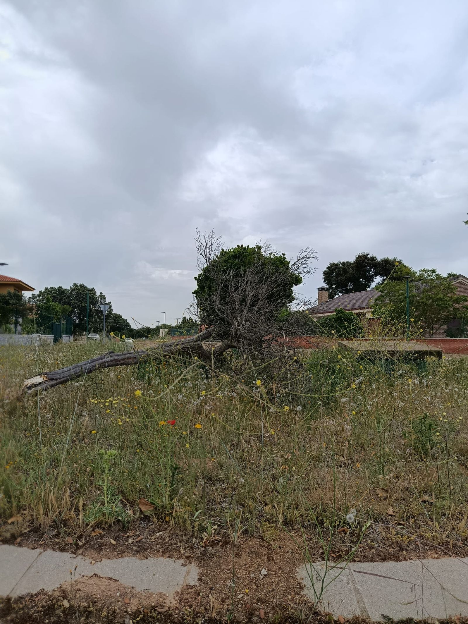 Urbanización Oasis Golf en Carrascal de Barregas  (16).jpeg