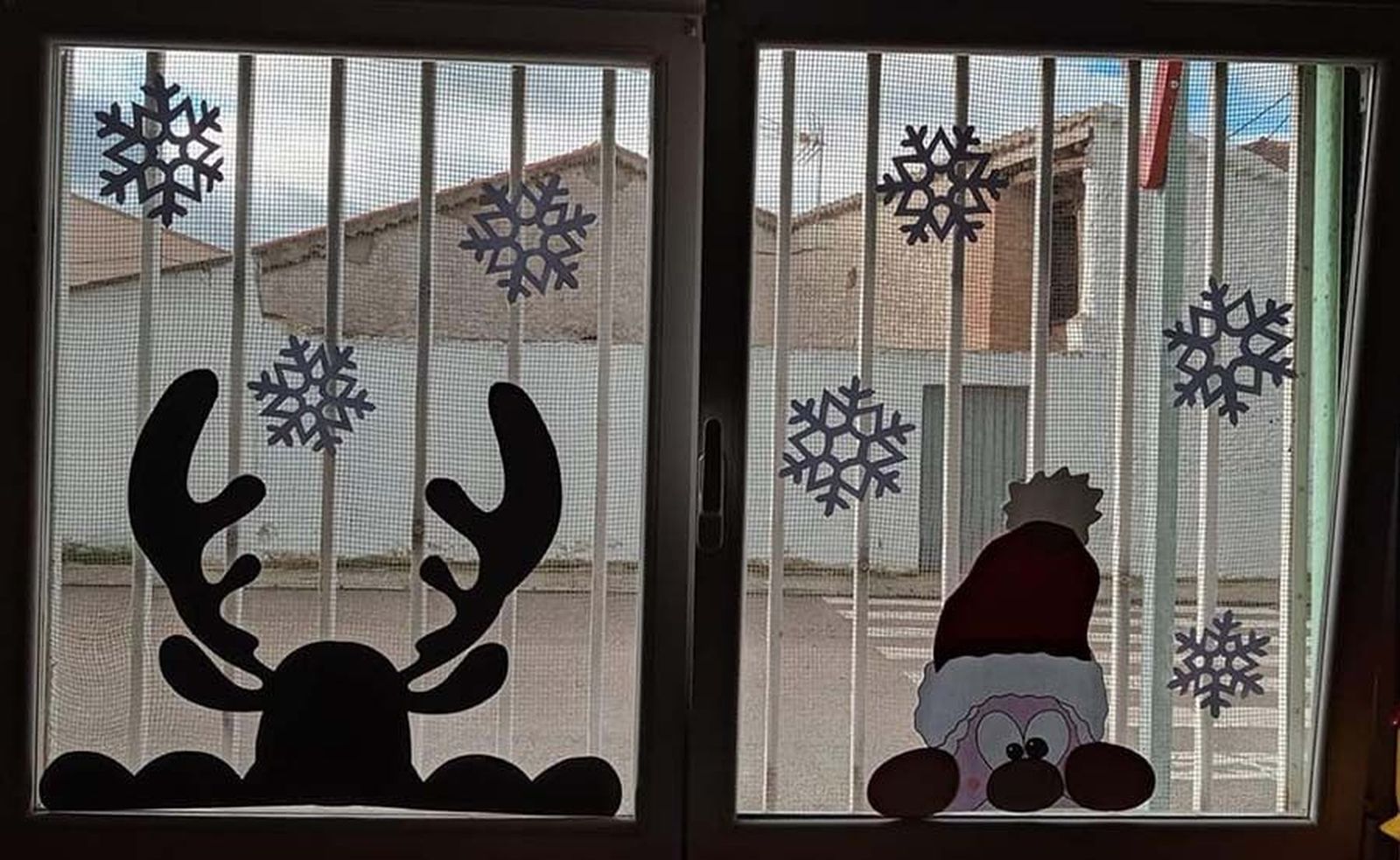 131030593 5025007764191109 9146842794676593239 o