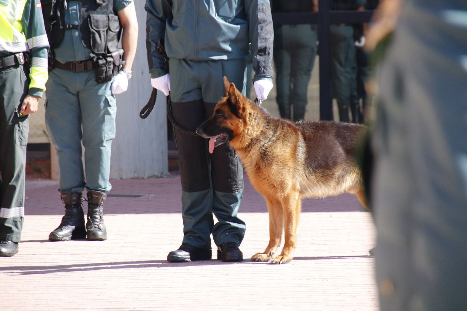 20221012121236-mg-4303