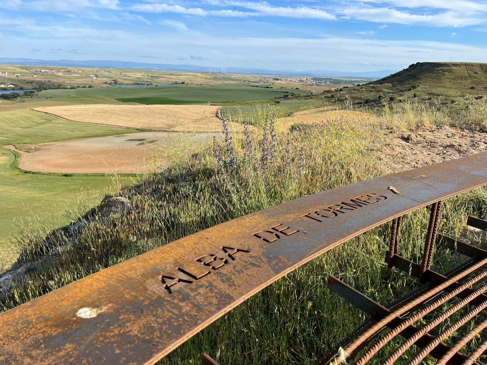 castillo-de-carpio-bernardo-en-villagonzalo-8