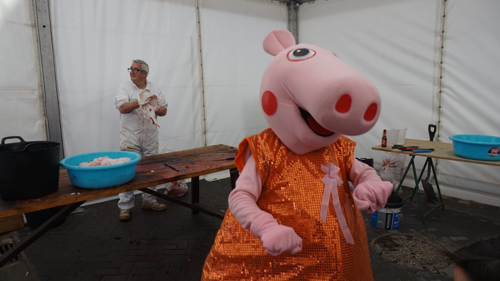 Matanza tradicional en Castellanos de Moriscos