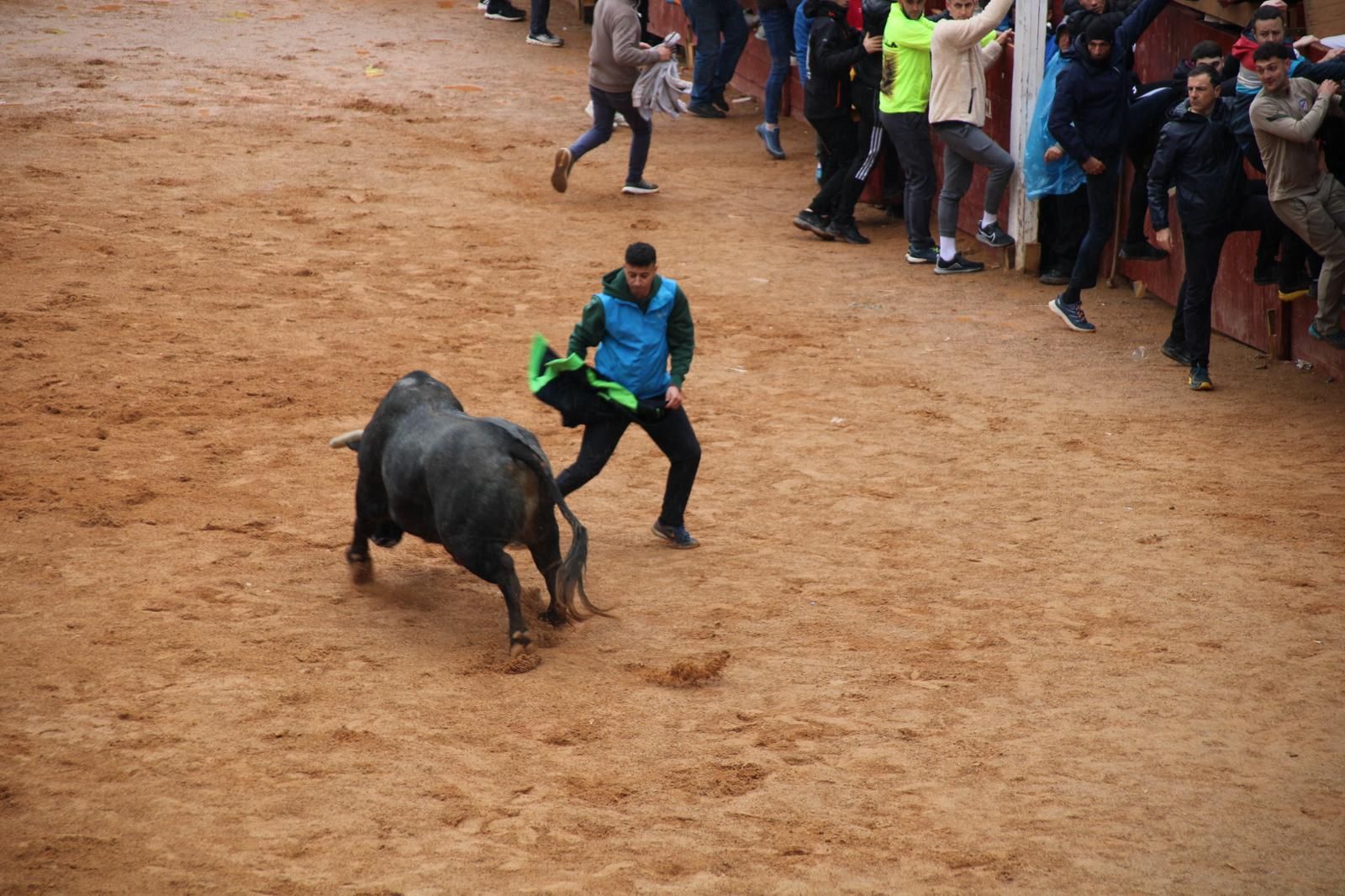 whatsapp-image-2025-03-03-at-12-46-48-1