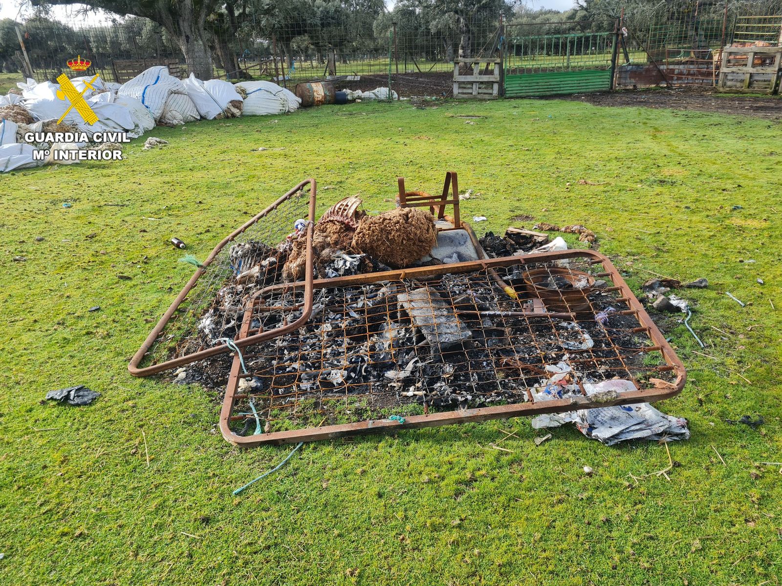 Lugar donde el varón intentaba quemar los cadáveres de los animales