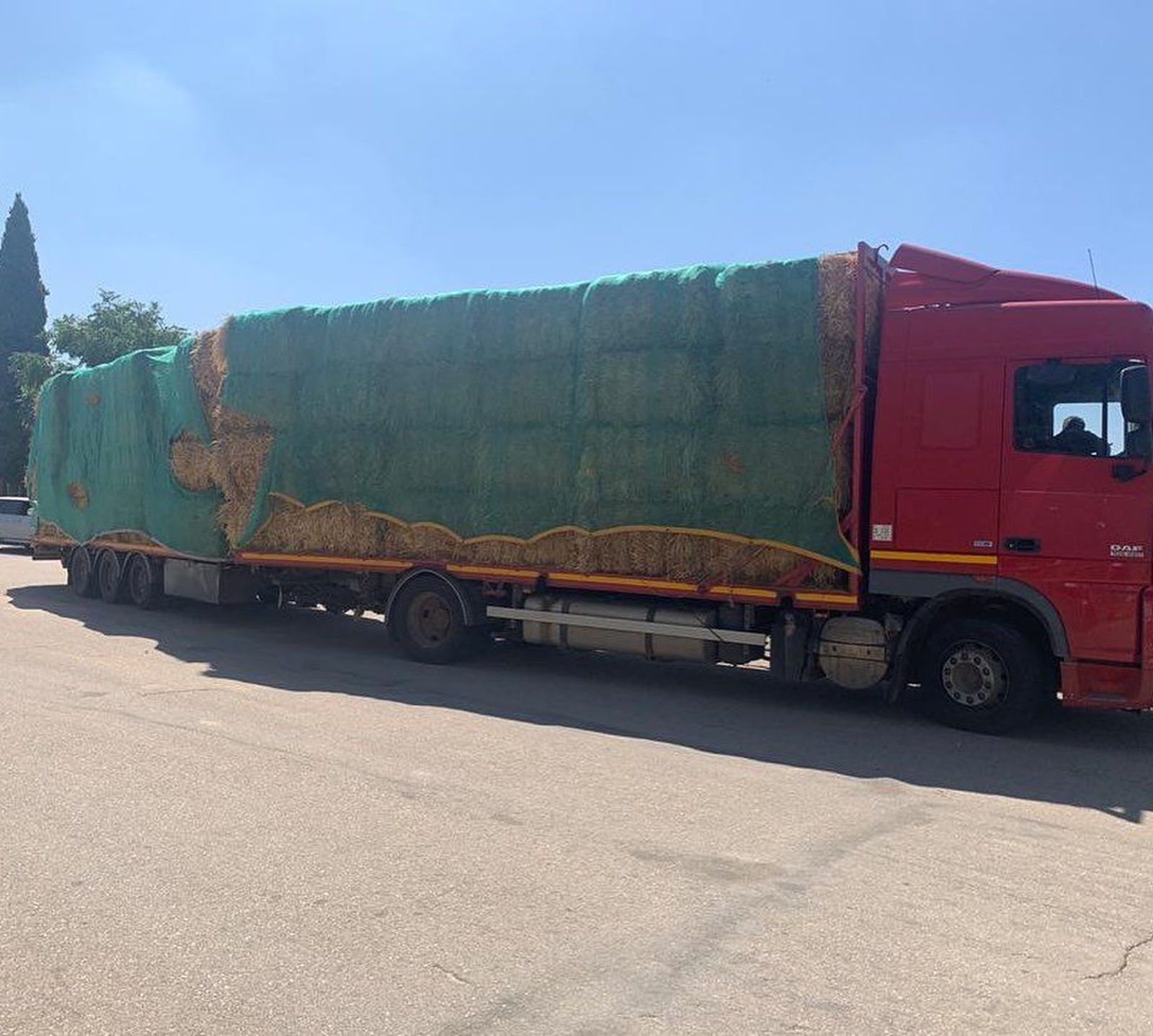 Camión de forraje para el ganado en San Felices