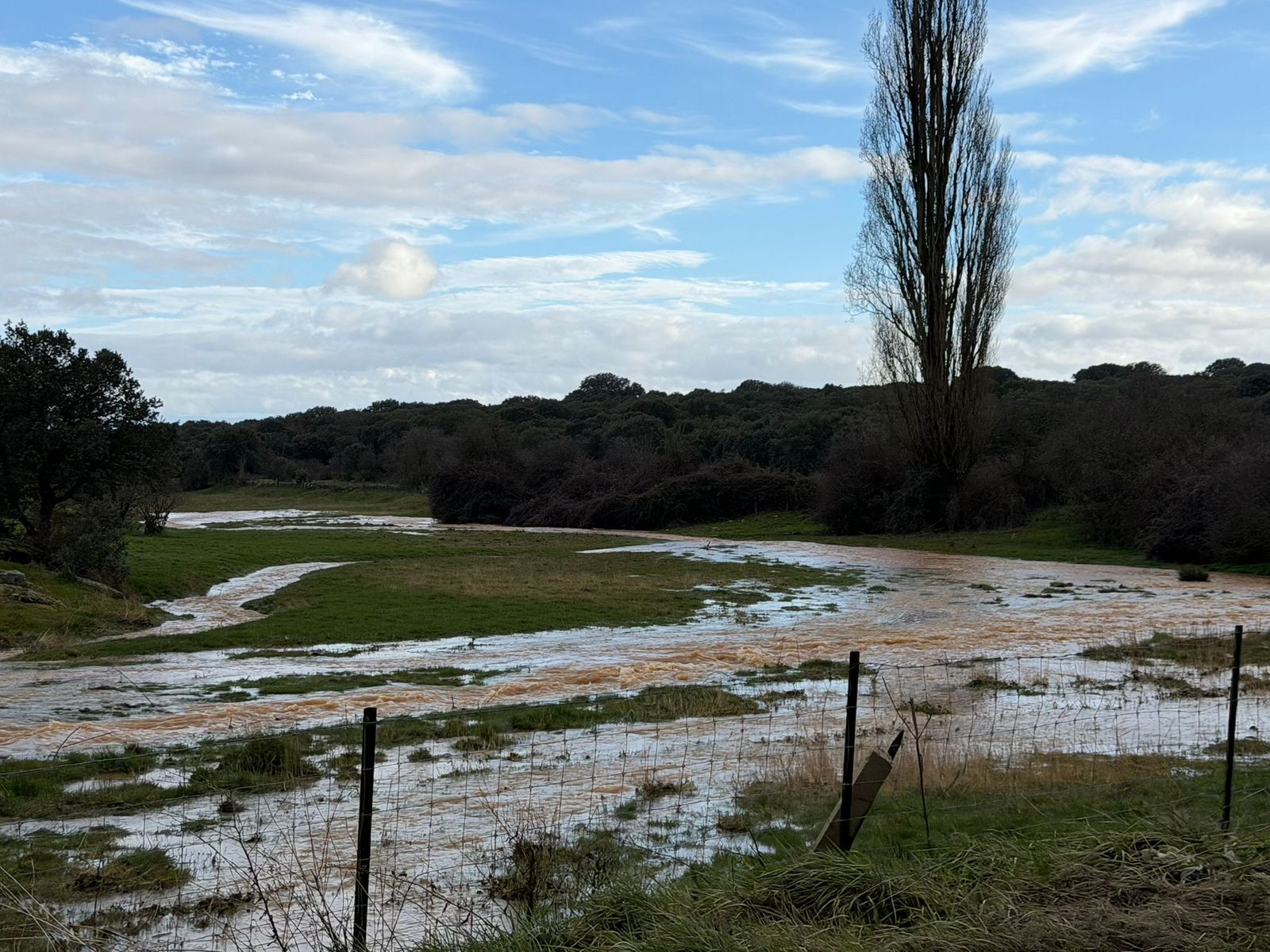 El campo anegado de agua en la zona del Campo Charro
