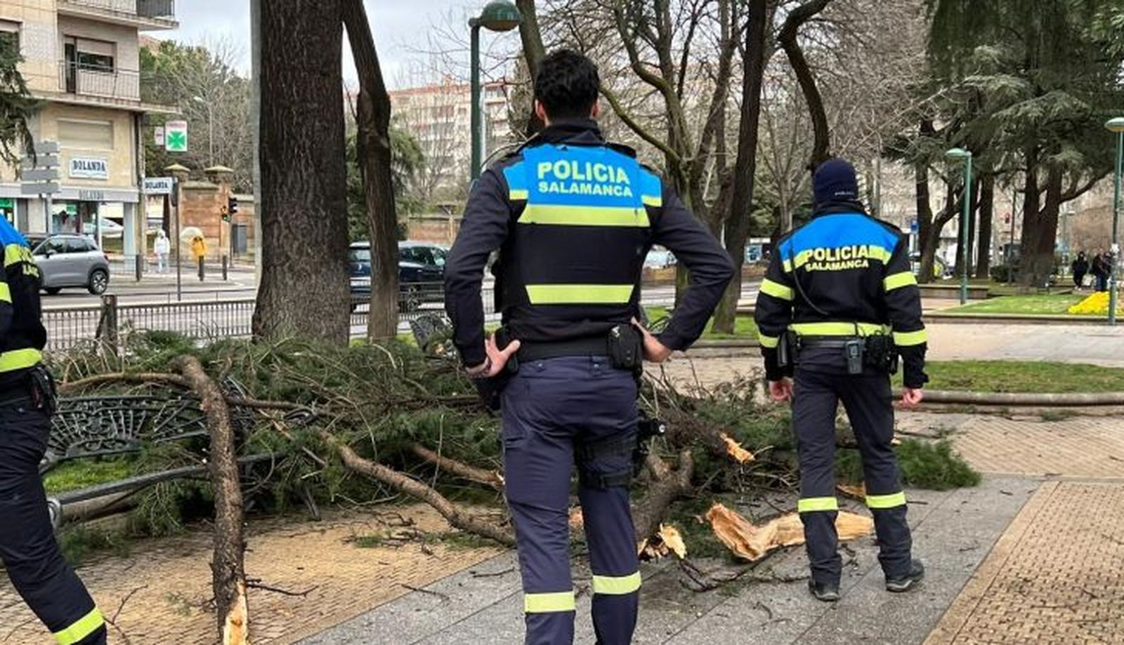 WhatsApp Image 2023 03 09 at 15.43.04