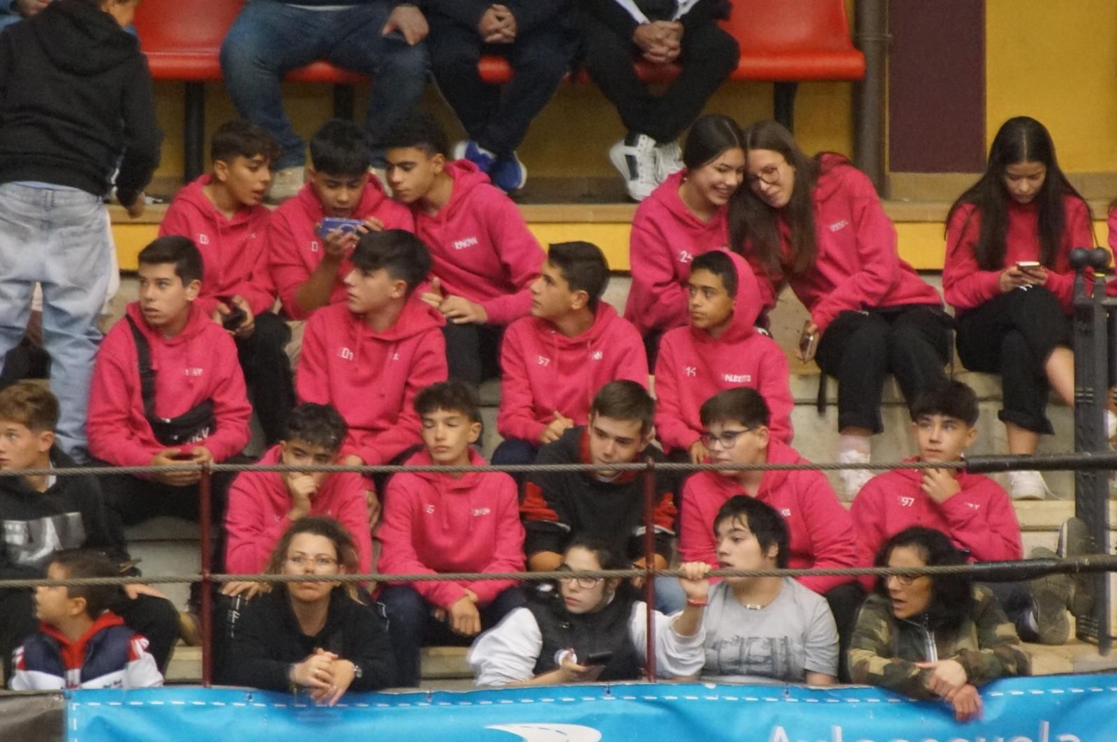 Alba de Tormes celebra un encierro, capea y encierro de minibueyes