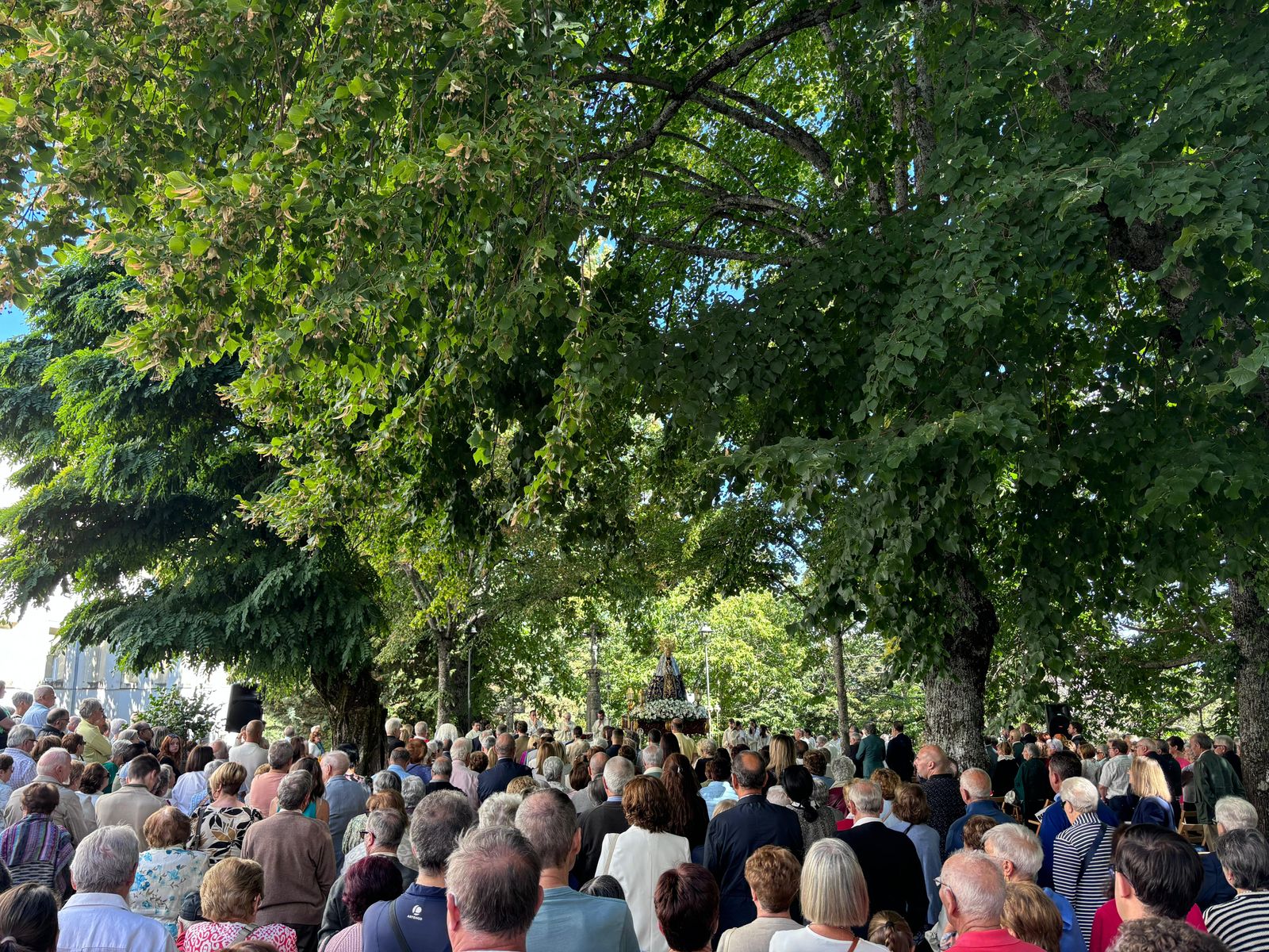 whatsapp-image-2024-09-08-at-15-26-35-2