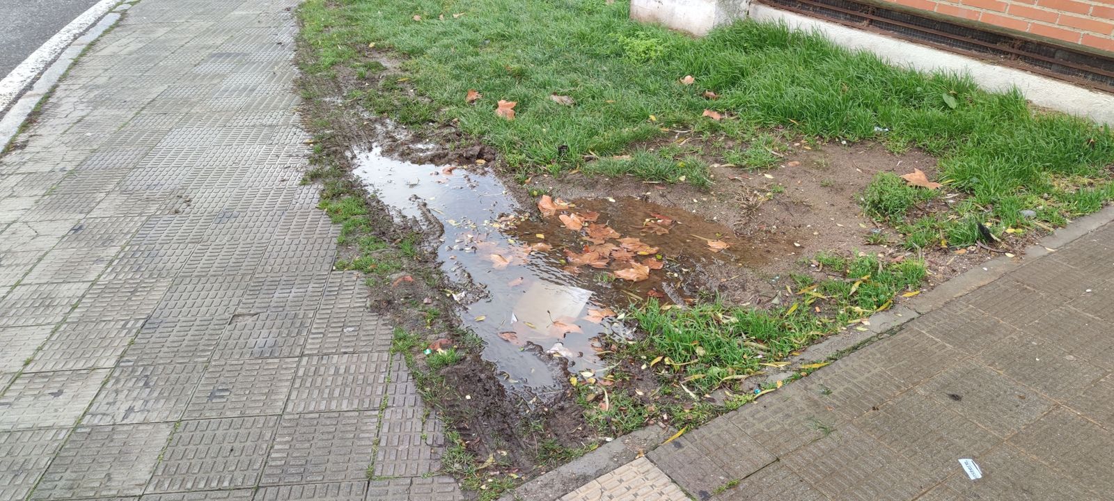 Jardín sin bordillos de la calle Maestro Soler 6