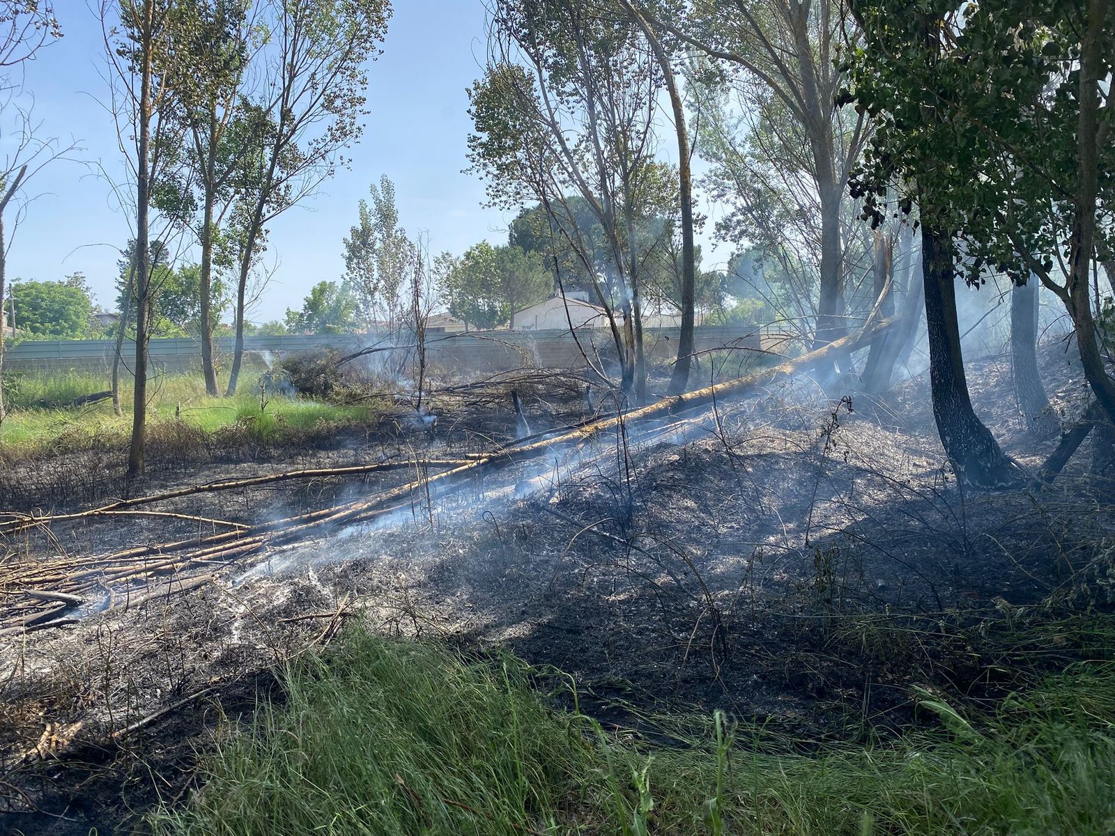 Los bomberos sofocan un incendio entre el puente del Pradillo y La Fontana
