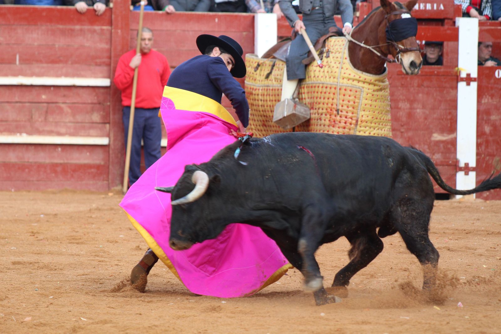 Chaves, El Capea y Pérez Pinto abren la Puerta Grande en el primer festival del Carnaval de Ciudad Rodrigo de 2023
