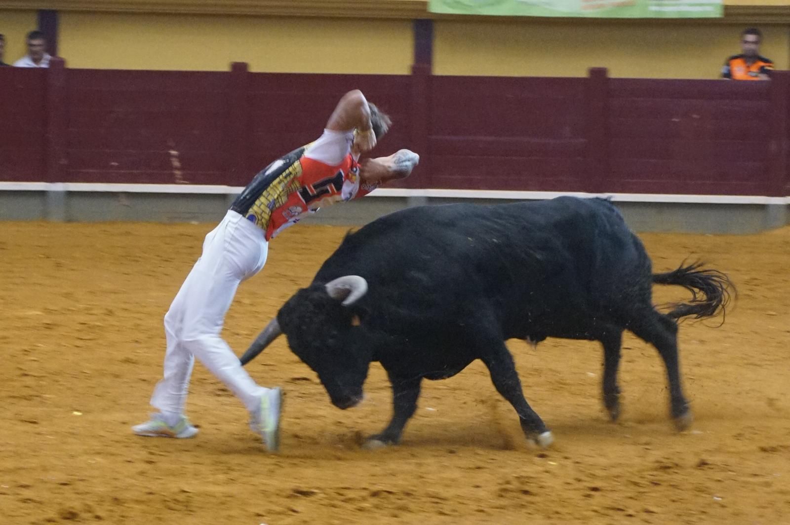 Alba de Tormes celebra un nuevo concurso de cortes