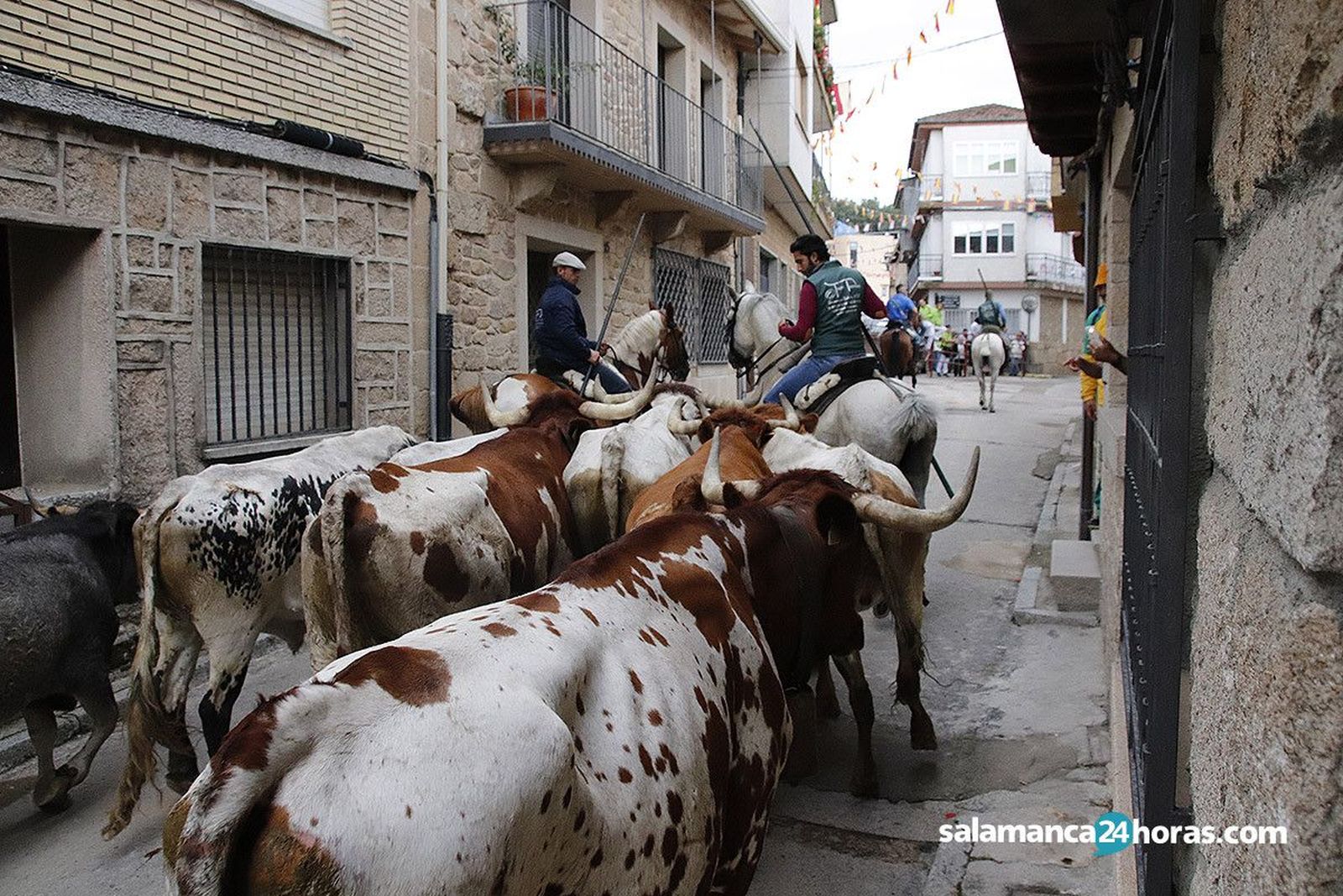 Encierro aldeadavila 135