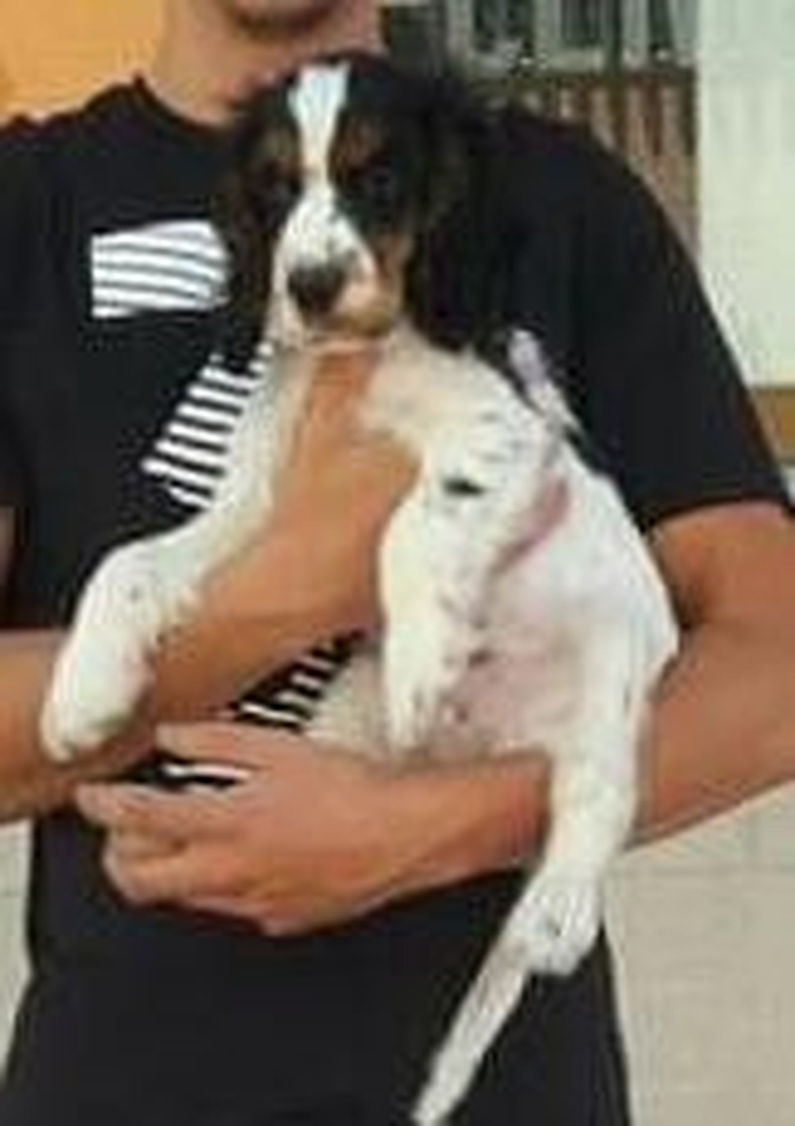 WhatsApp Image 2019 04 18 at 22.14.47