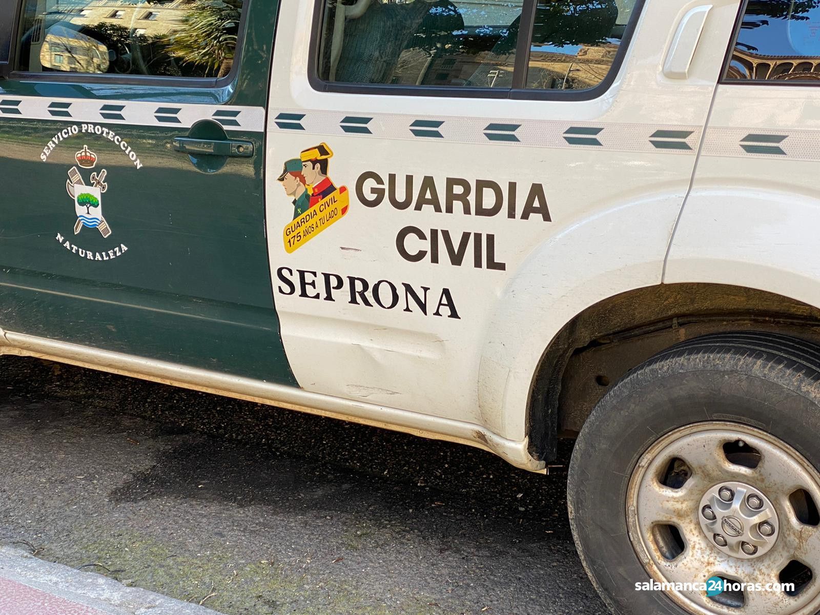 Seprona Guardia Civil (3)