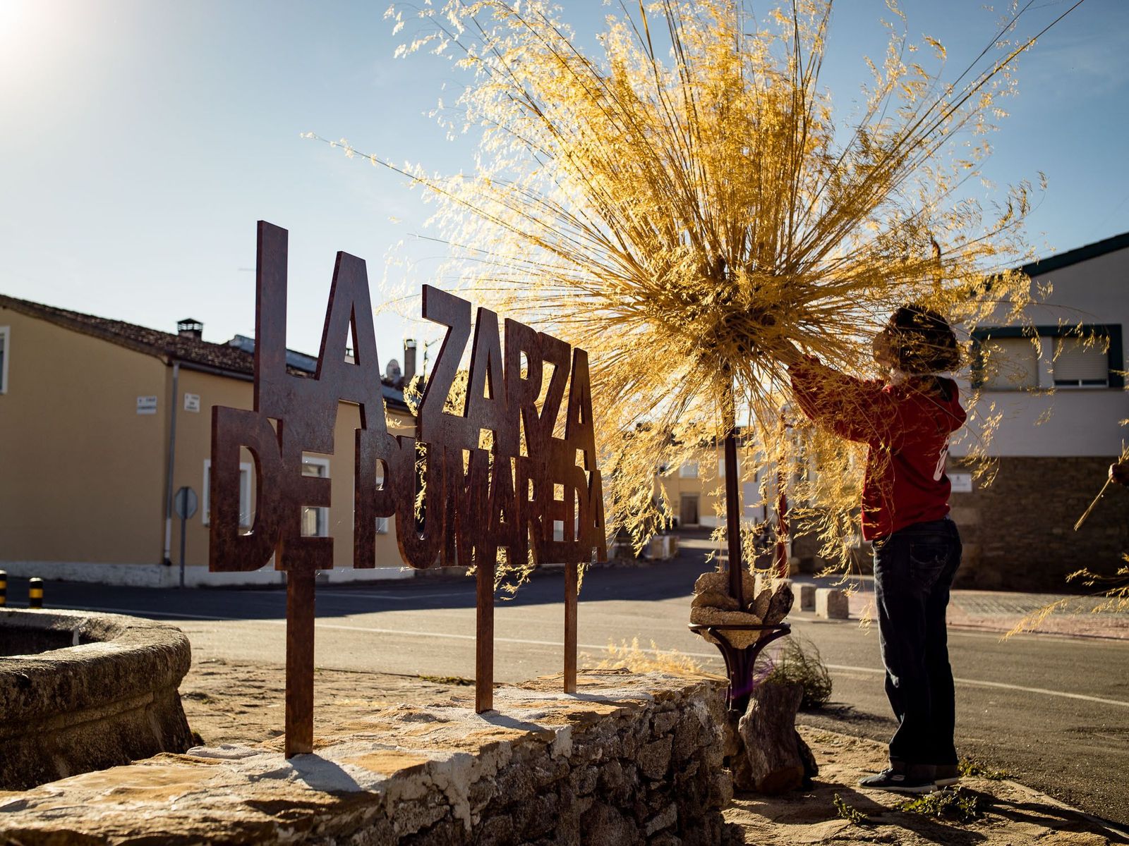 Ritaflowers golden tree zarza de pumareda 01