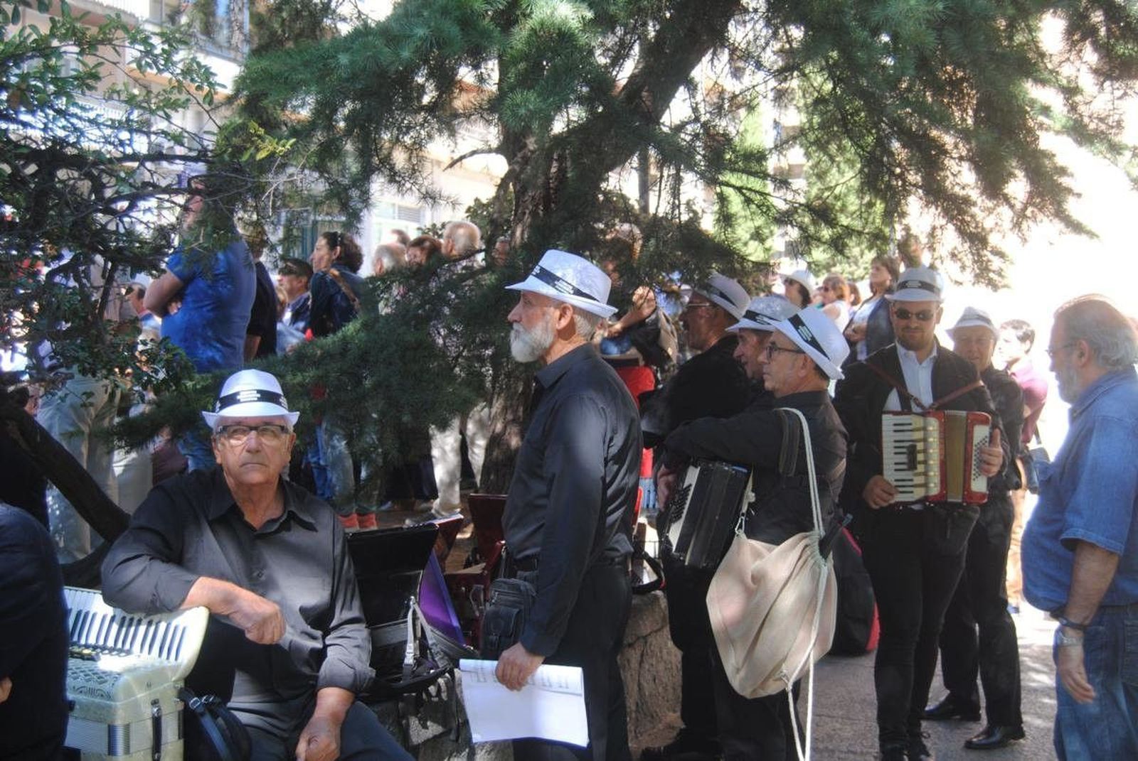Ferias y Fiestas 2017: encuentro de acordeonistas