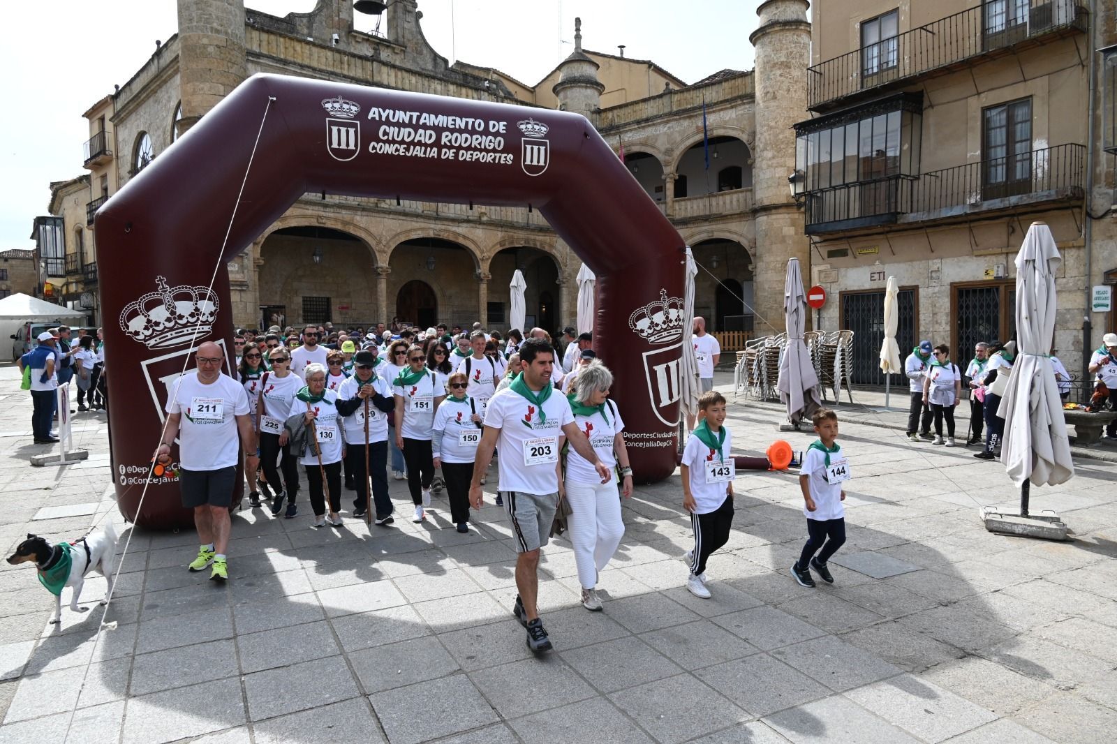 499398493-1006606578304547-4086103275931241727-n