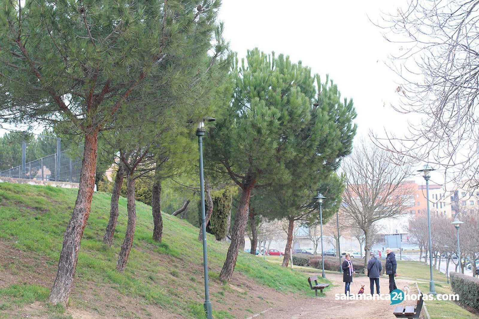 Parque Chinchibarra. Foto de archivo