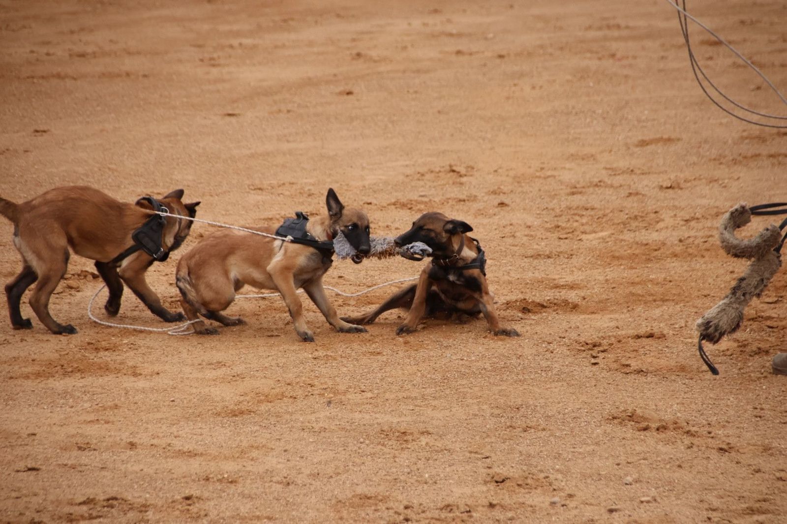 20230902114006-img-7165