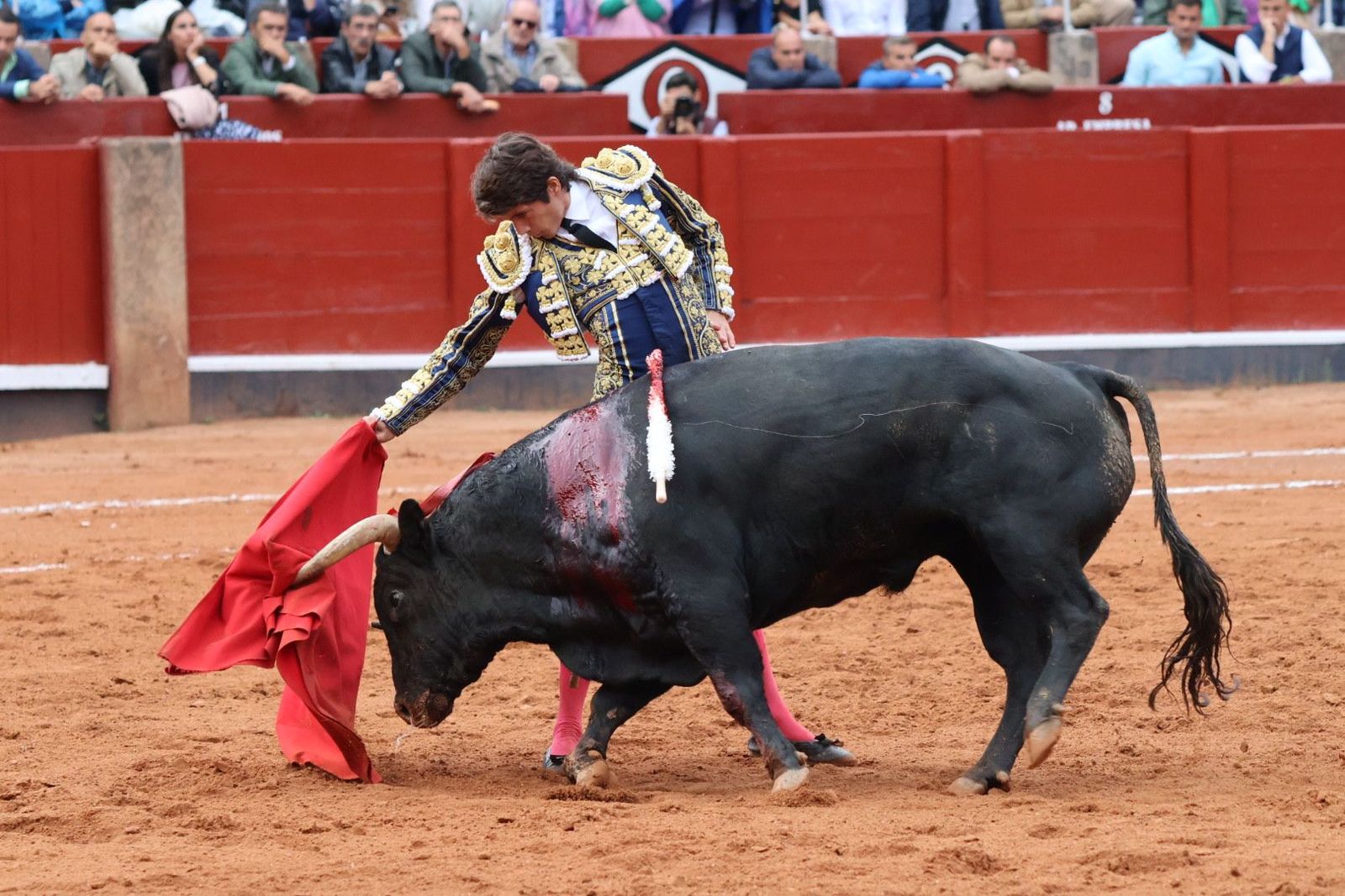 20230916182758-img-5575