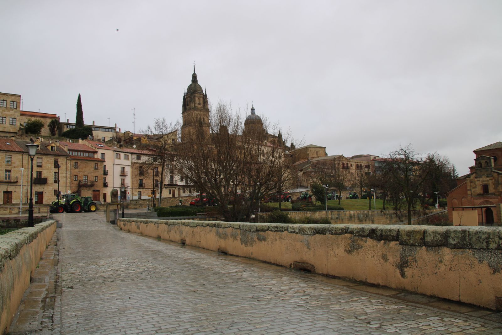 En imágenes la marcha con tractores y vehículos de campo en Salamanca en protesta contra Mercosur