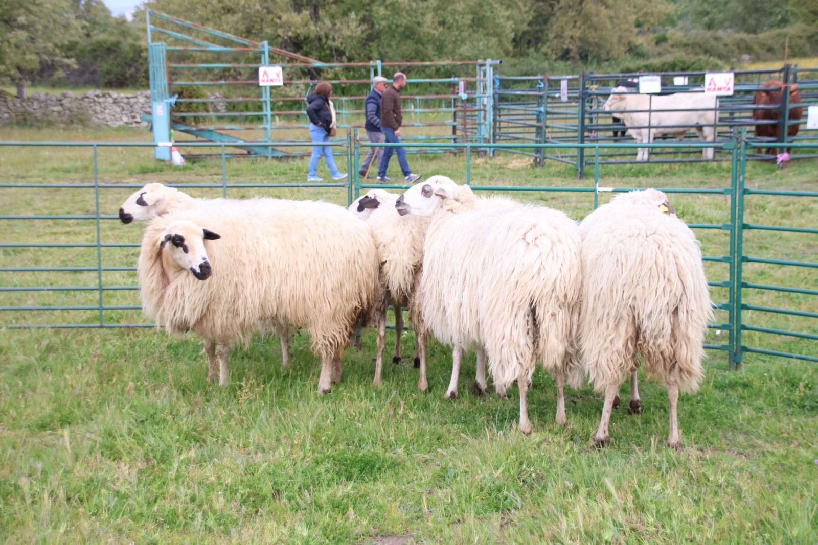 20240501103456-img-2921