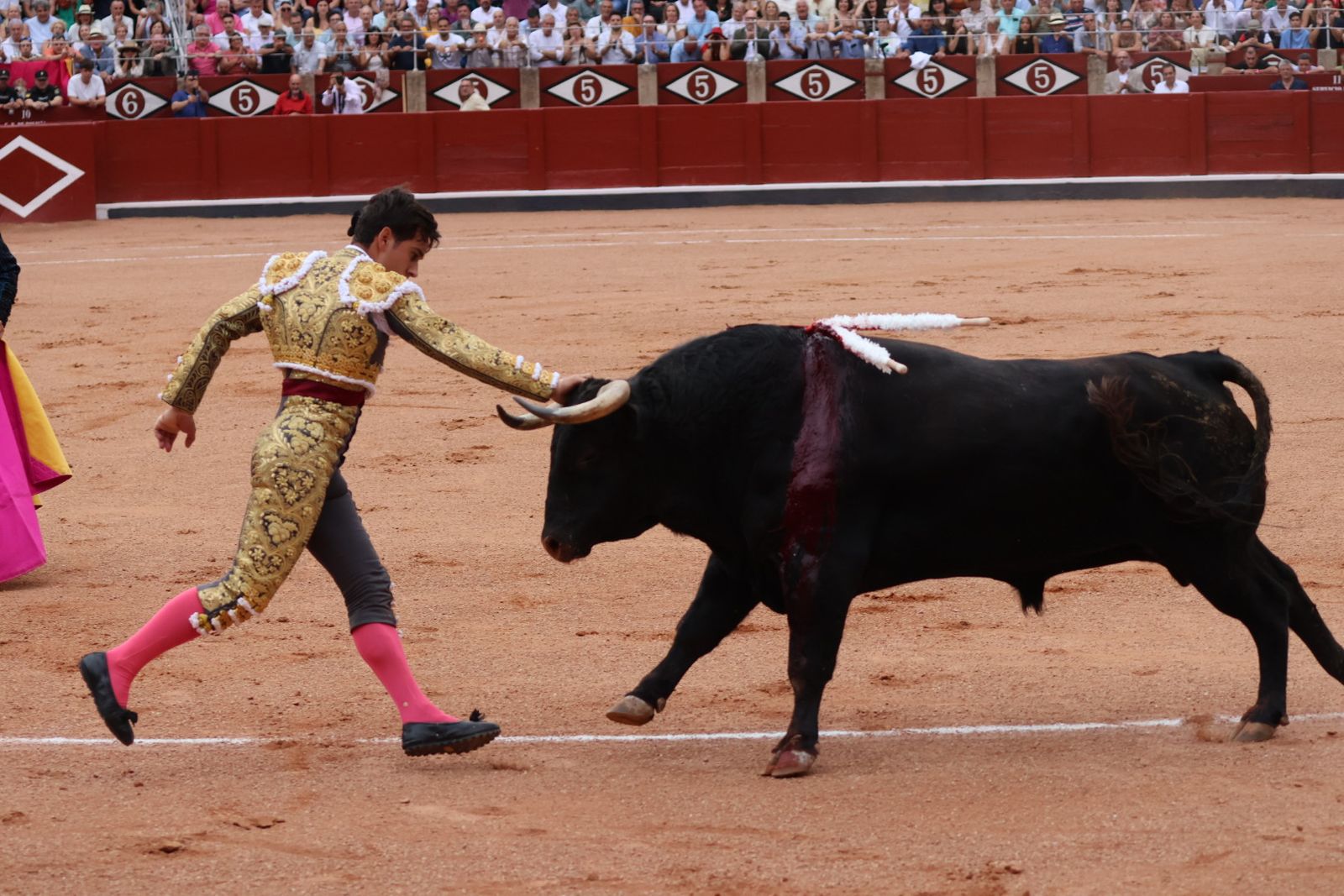 Ismael Martín, Marco Pérez y el aclamado regreso de Morante de la Puebla: su paso por La Glorieta en imágenes