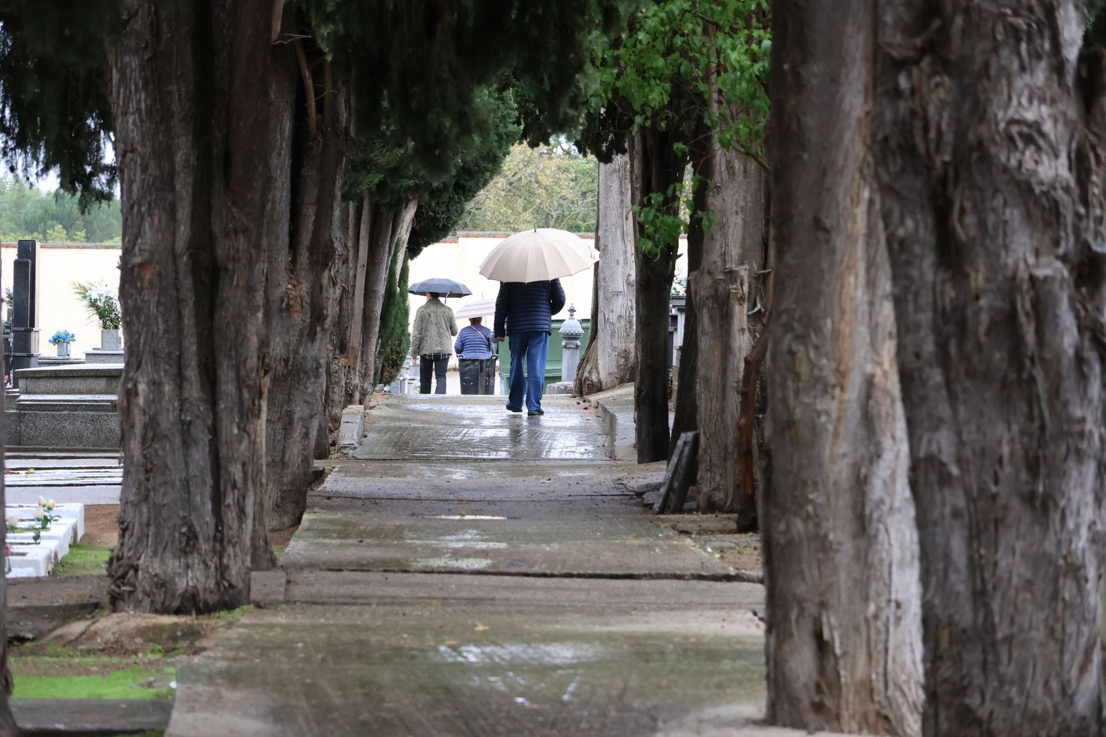 GALERÍA | La lluvia no detiene la tradición: los zamoranos acuden al cementerio para recordar a sus fallecidos