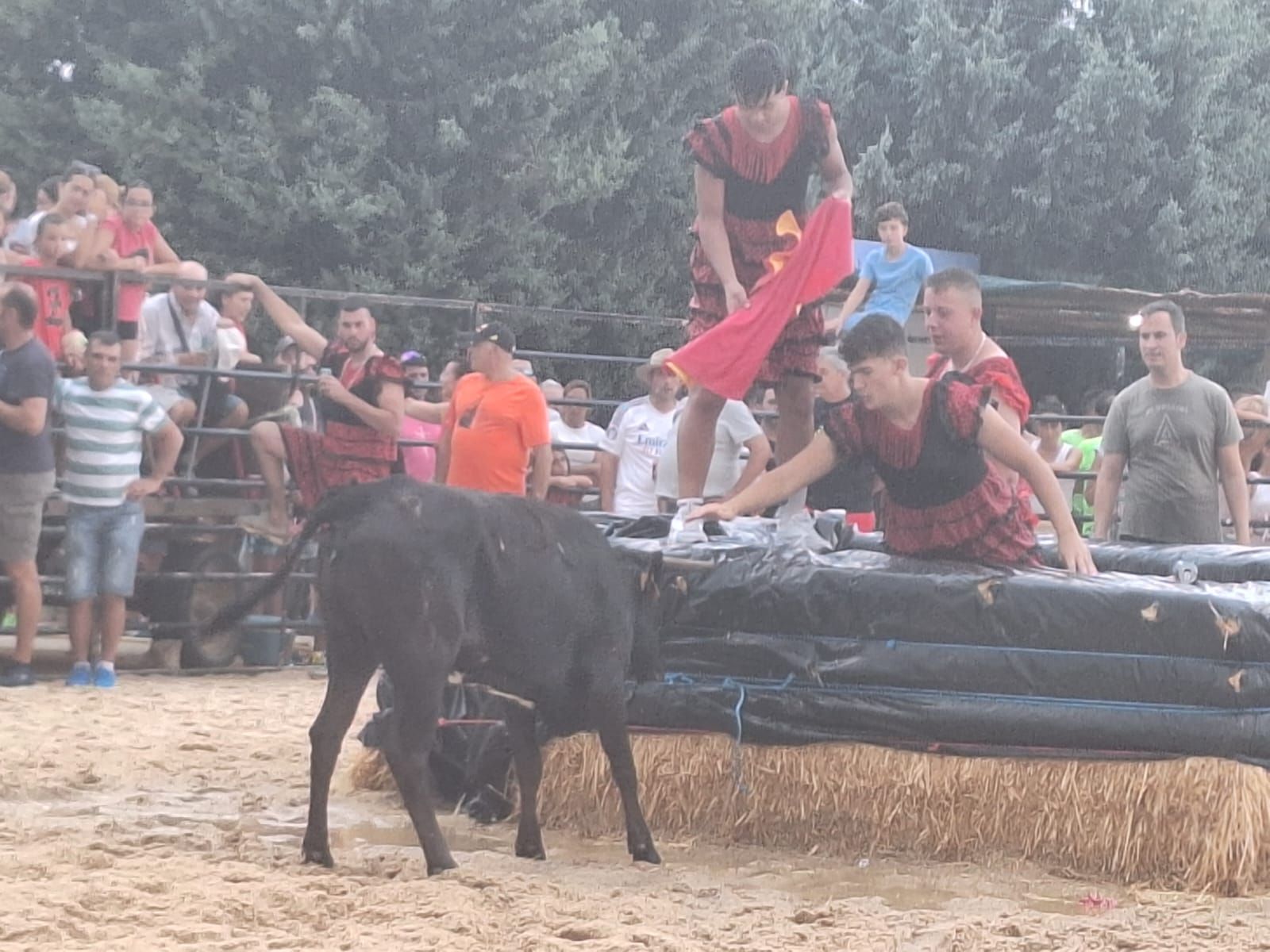 Cientos de personas disfrutan de las vaquillas de Valdelosa