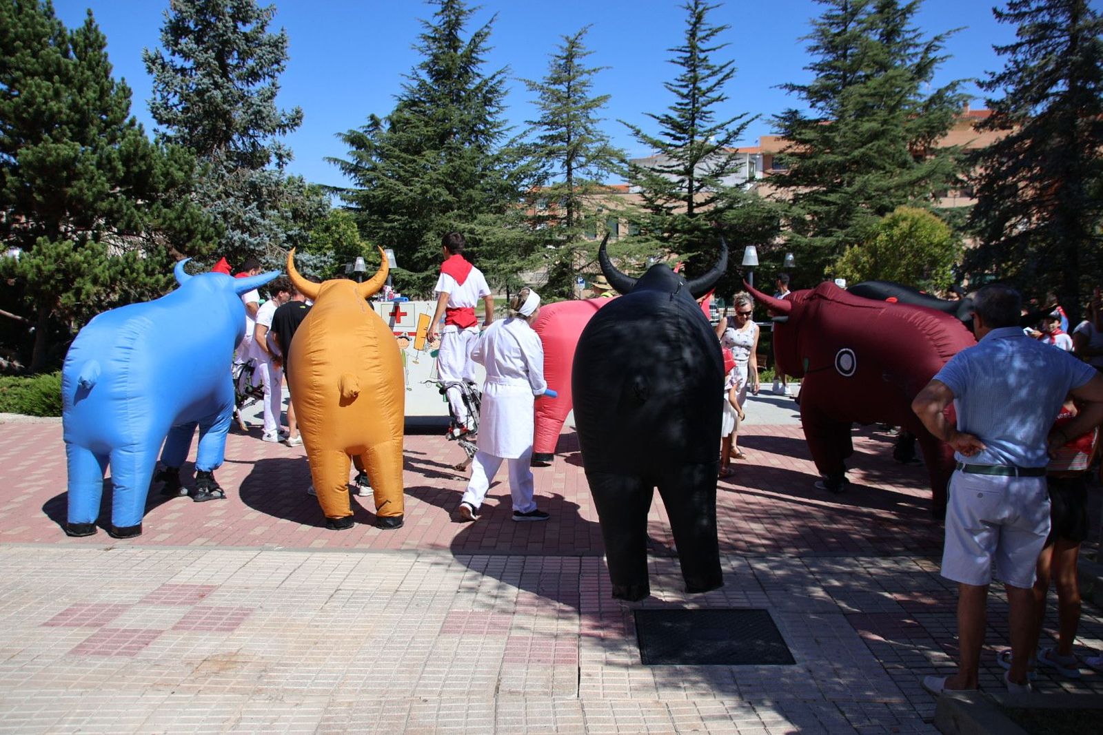 20230813110130-img-1407