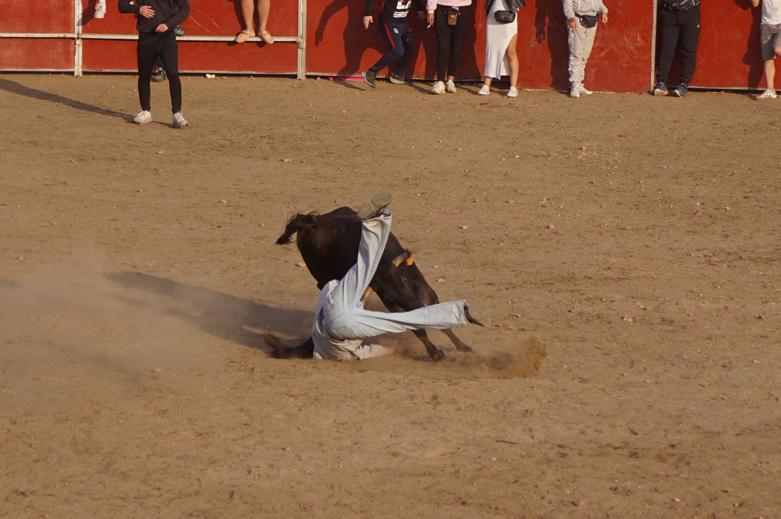 Carreras, risas y tradición: así se ha vivido El Toro en Santa Marta