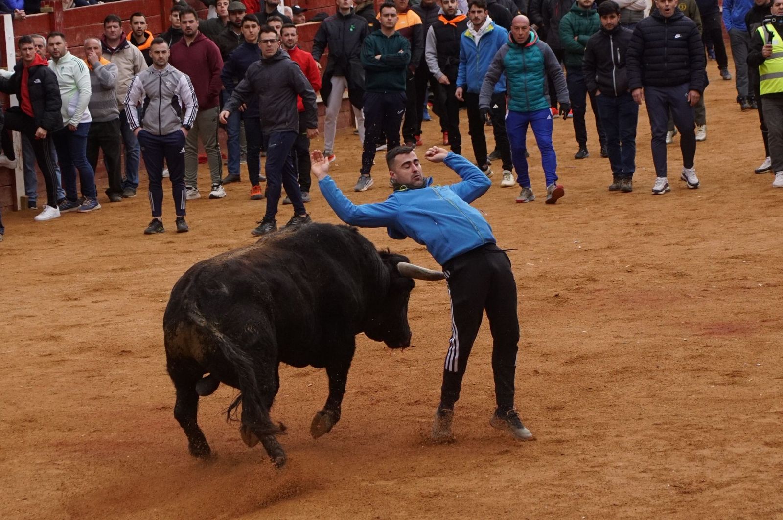 Destacados saltos, quiebros y toreo de capa en la capea del Lunes de Carnaval en Ciudad Rodrigo