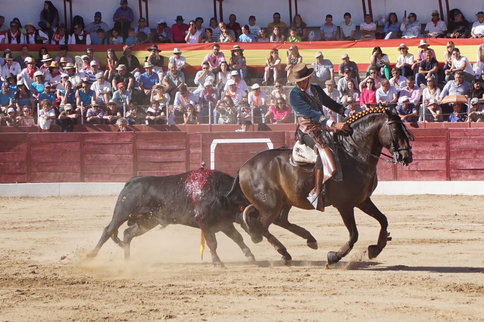 whatsapp-image-2024-06-02-at-22-12-19