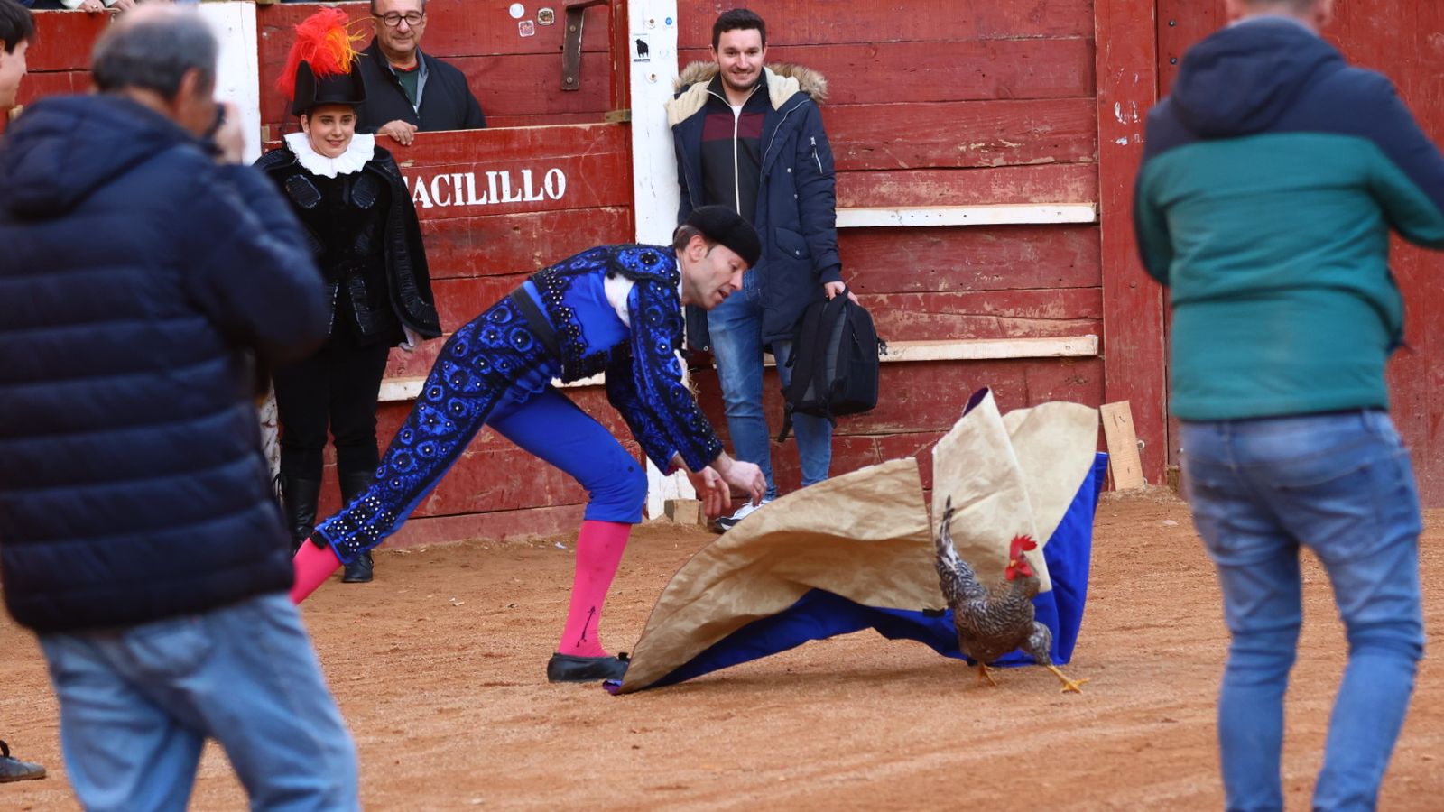 Novillada con picadores de lunes en el Carnaval del Toro de Ciudad Rodrigo 2026