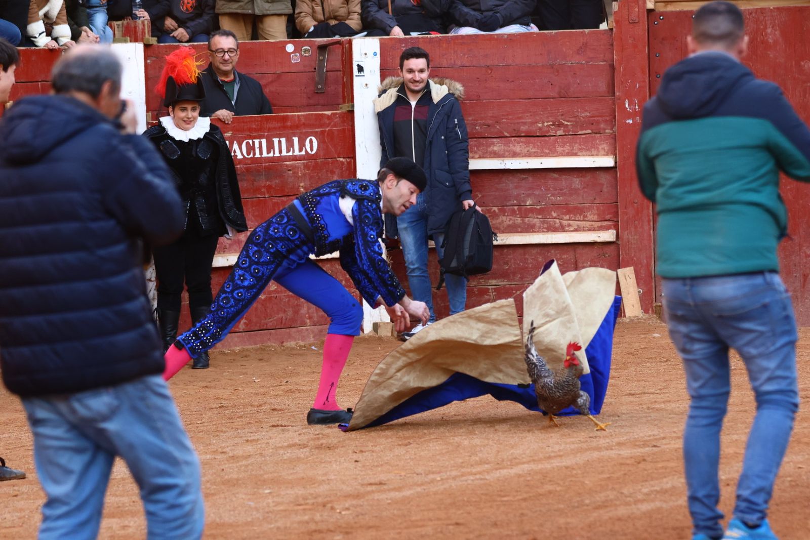 Novillada con picadores de lunes en el Carnaval del Toro de Ciudad Rodrigo 2026