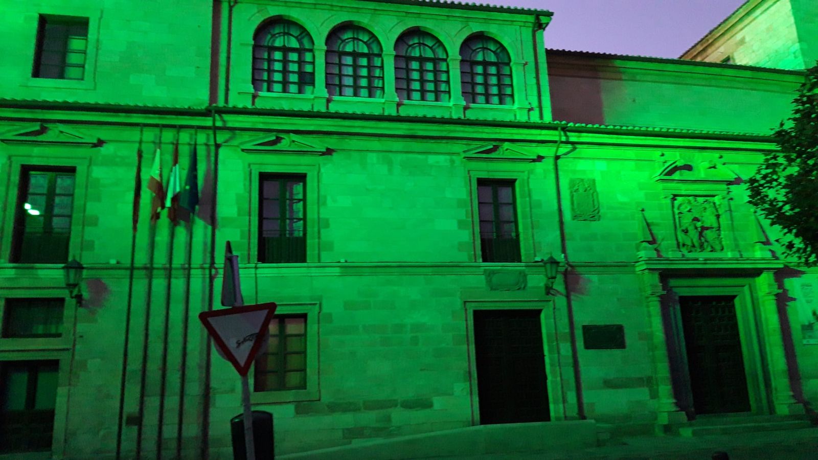 Fachada iluminada de color verde en la Diputación de Zamora