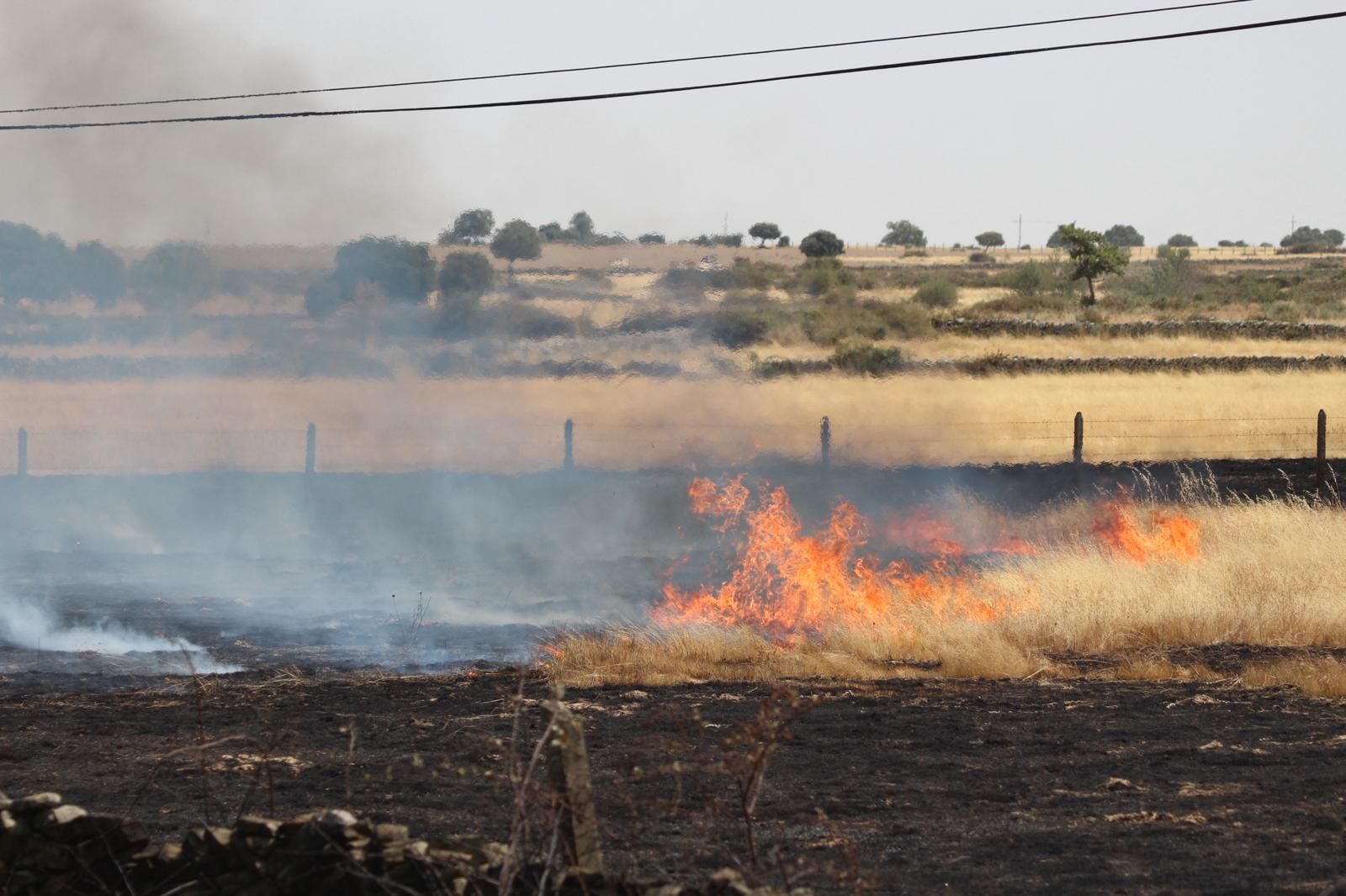 Así han quedado las zonas quemadas durante el incendio de Cipérez
