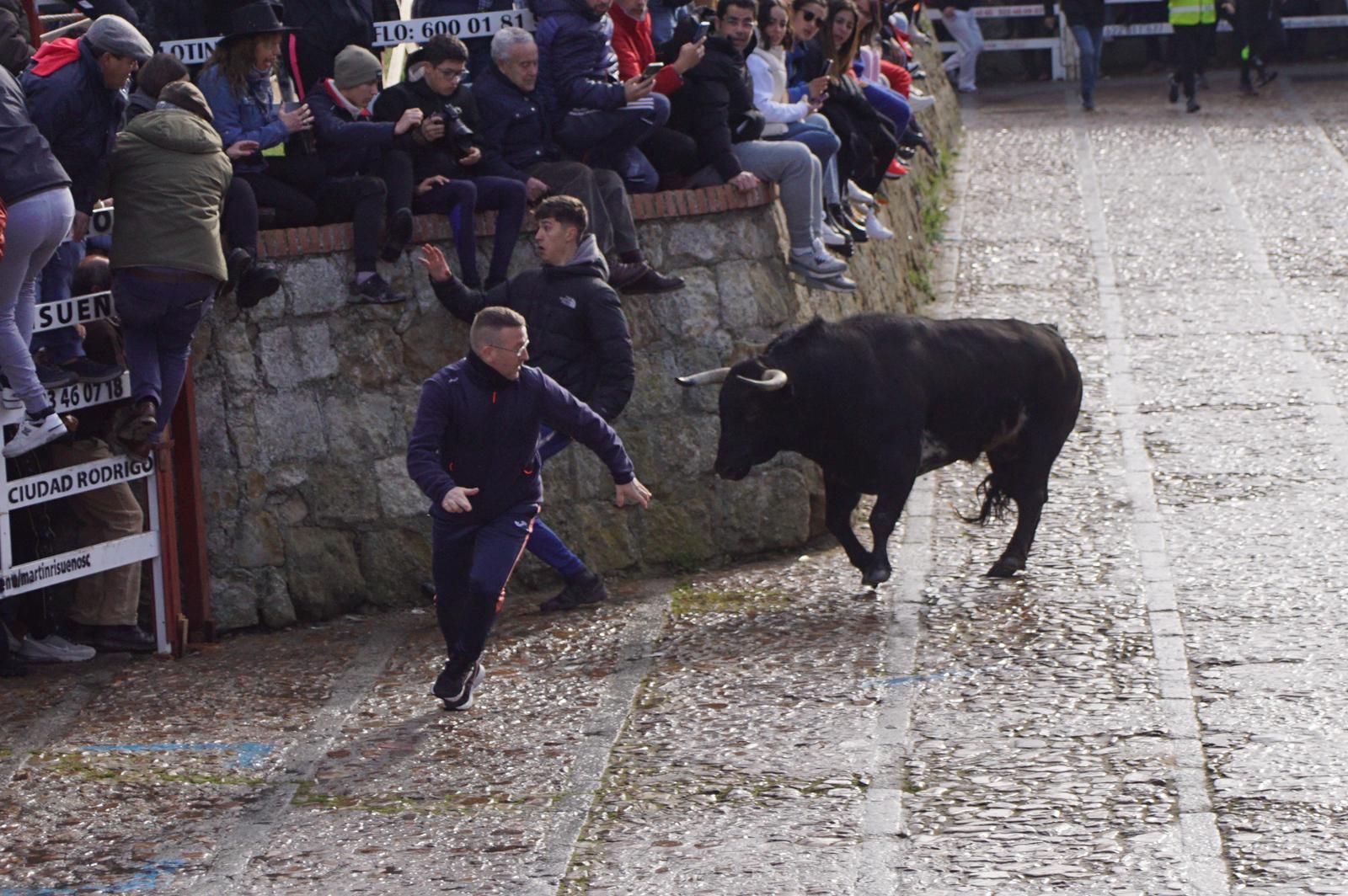 ambiente-encierro-urbano-lunes-de-carnaval-en-ciudad-rodrigo-12-de-febrero-de-2024-fotos-s24h-30