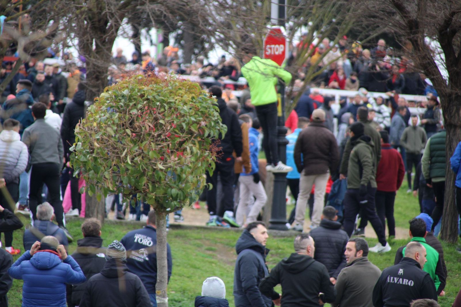 whatsapp-image-2025-03-01-at-11-53-54