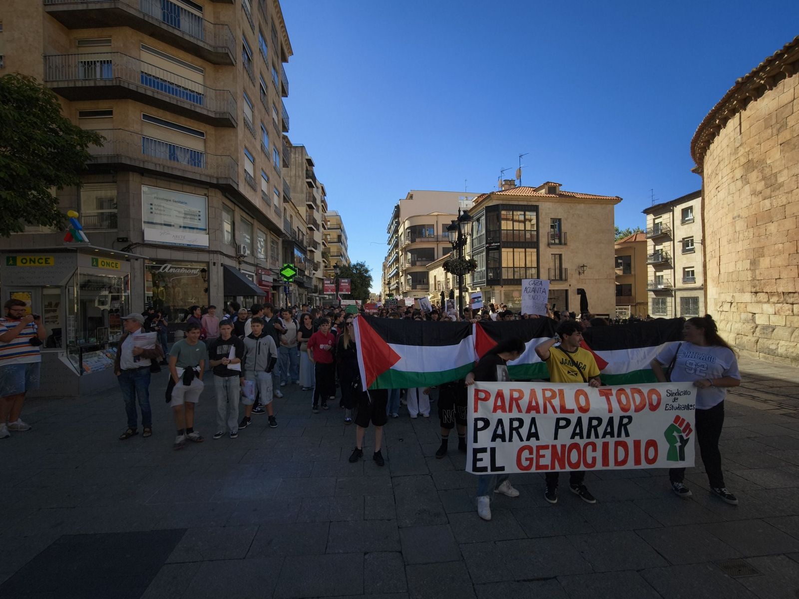 Manifestación por Palestina