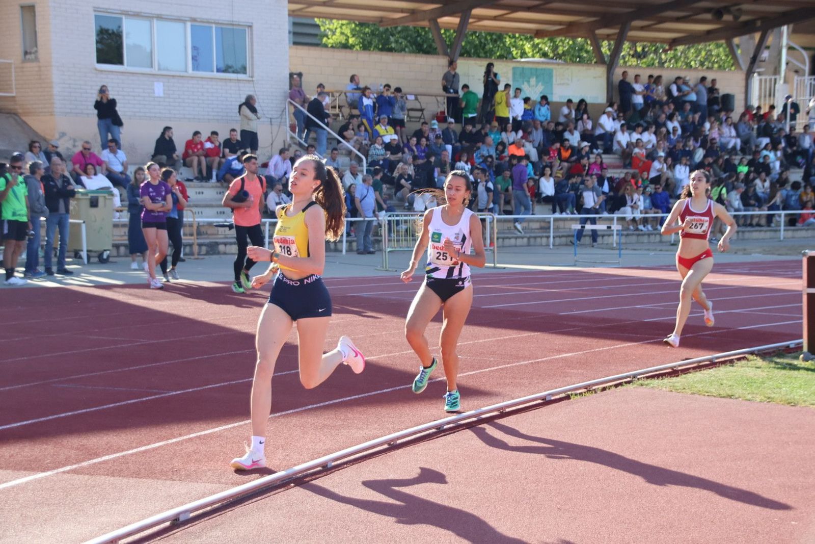 20240601182616-img-4550