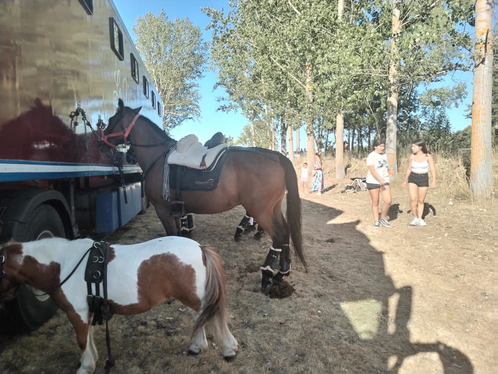 Exhibición ecuestre en San Pedro de Zamudia (16)