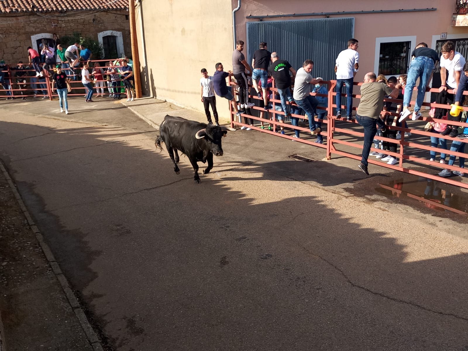 whatsapp-image-2022-05-14-at-8-08-40-pm-2