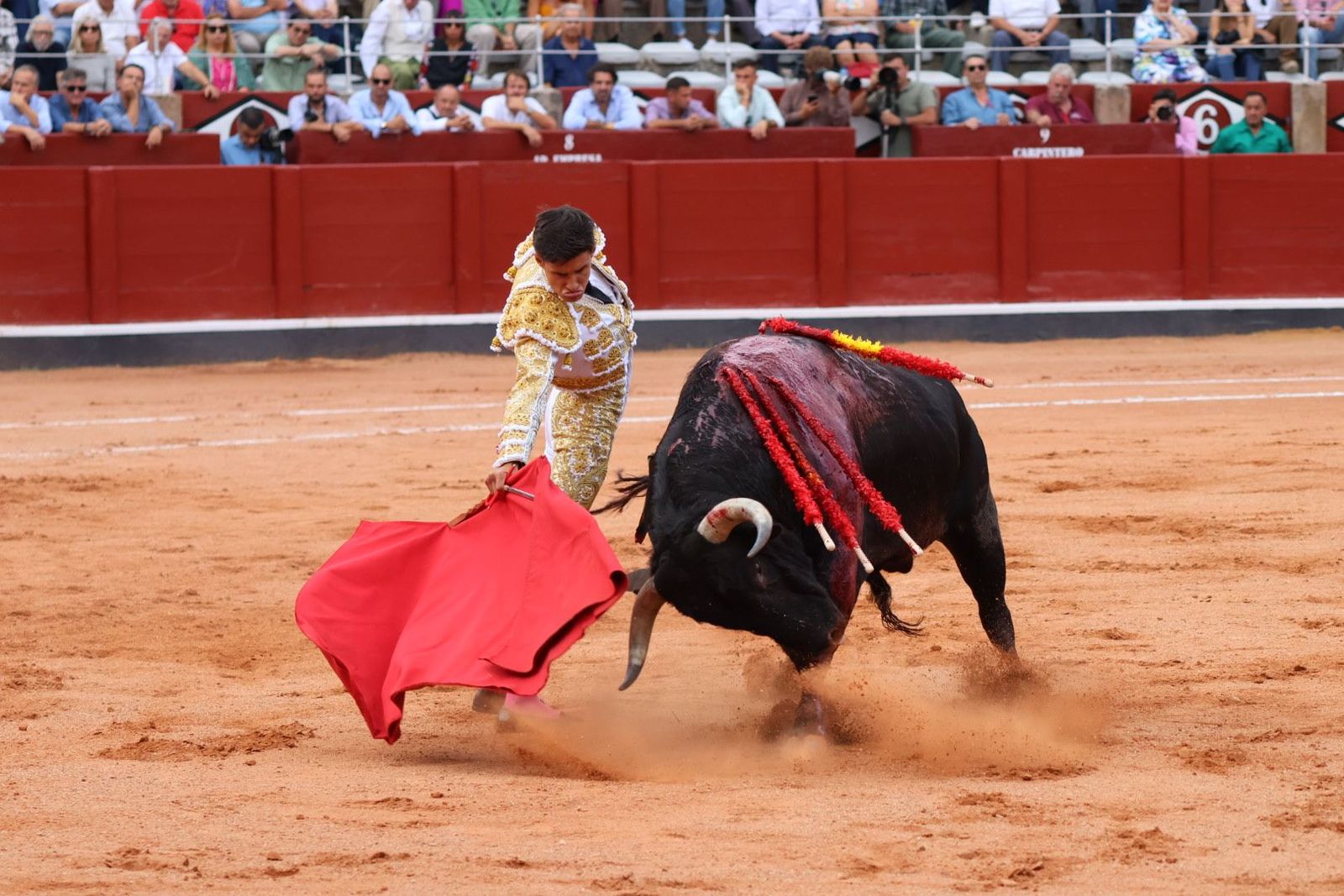 20230910180248-img-1987