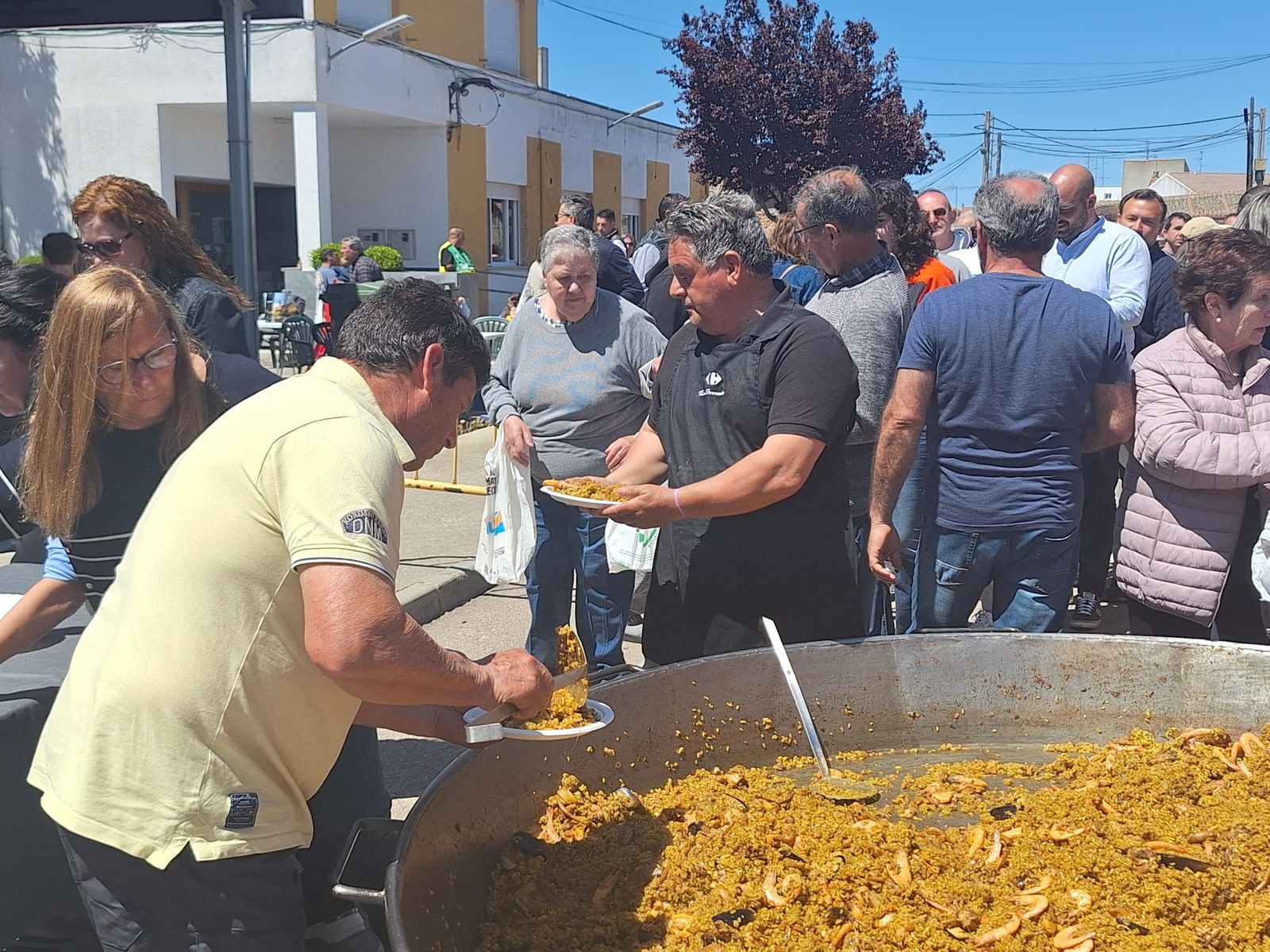 whatsapp-image-2025-04-27-at-15-01-59-2